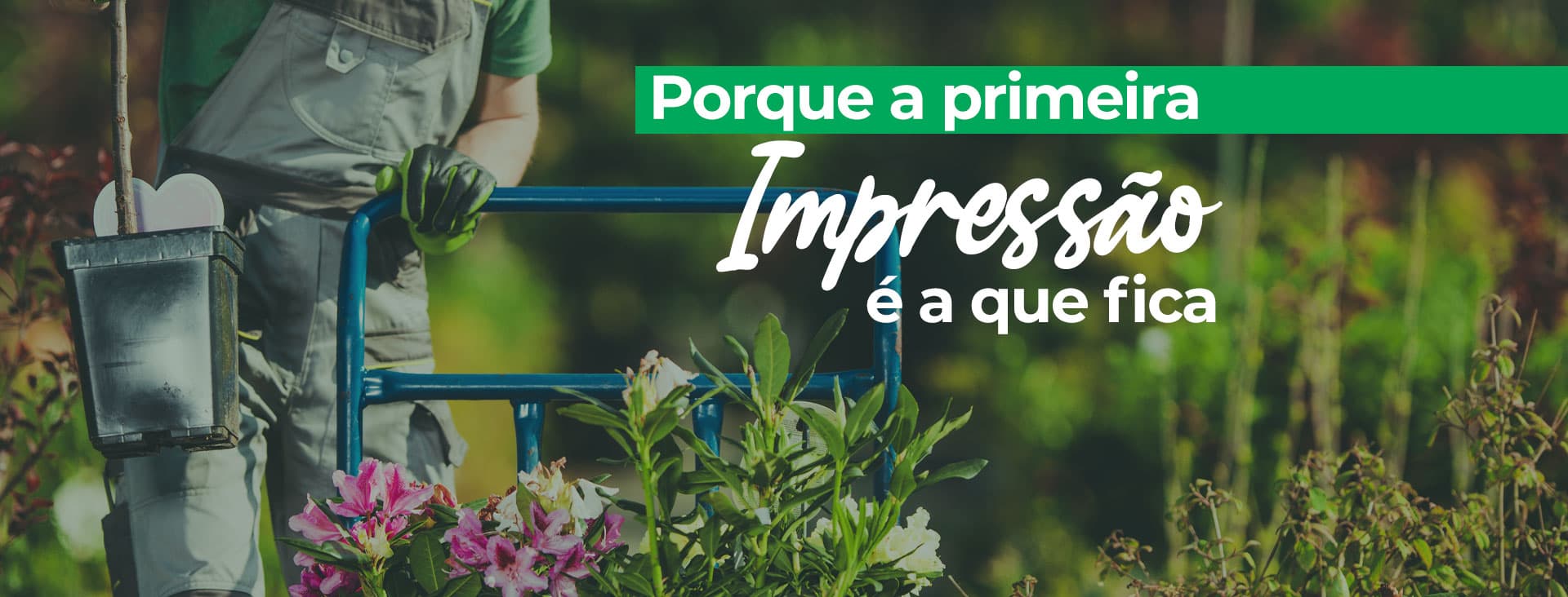Imagem do banner